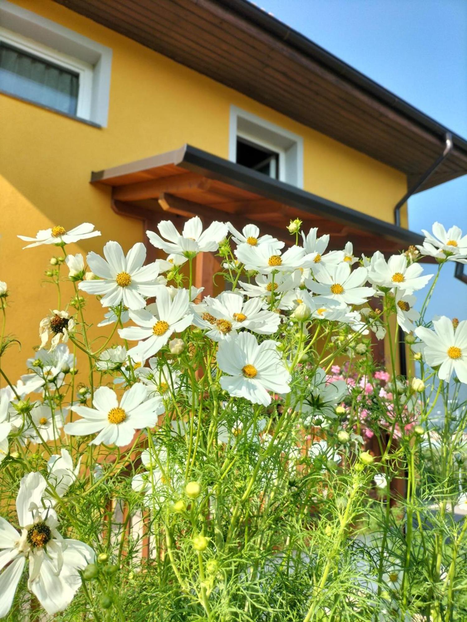 I Girasoli Sanzeno Exteriör bild